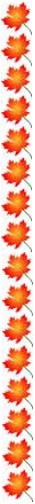 Fall Leaf Border